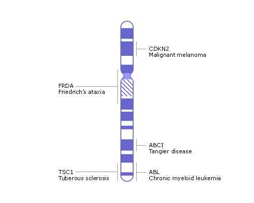 高端助孕服务品牌,江苏贝宝助孕是真的吗,江苏长江医院打造湖南首届“宝贝计