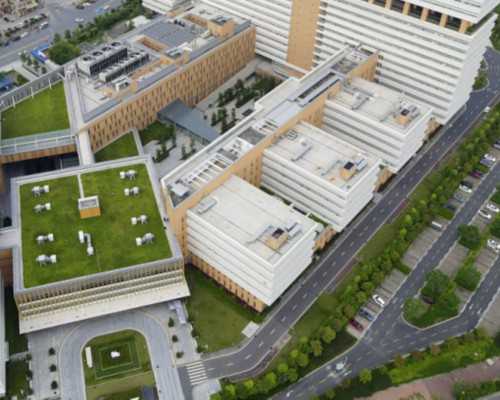 备孕b超检查哪些项目