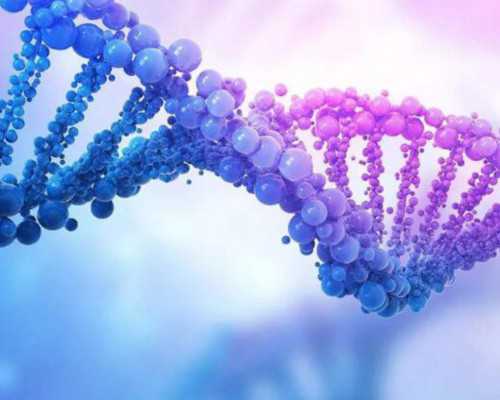 拉拉a卵b怀费用大概多,同性情侣可以通过三代试管助孕怀孩子吗