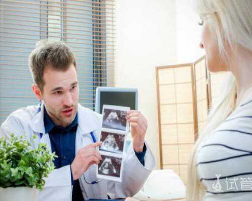 对不起没关系儿歌教案 儿歌对不起没关系是什么歌曲