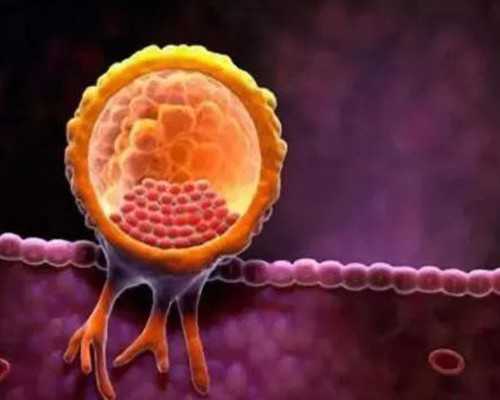 世纪助孕集团_上海世纪助孕多少钱优贝贝助孕的地址,武汉代怀机构安全吗 武汉