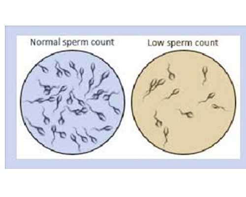 同性第一妇幼医院试管婴儿费用构成?,同性哪家机构做三代试管比较好?
