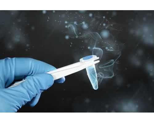 供卵助孕是真的吗,辽宁三大助孕机构沈阳助孕医院