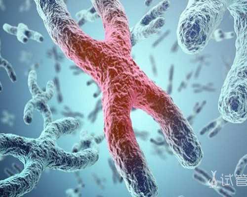 同性可以繁殖后代吗,武汉私立供卵试管助孕机构同性恋可以做吗？