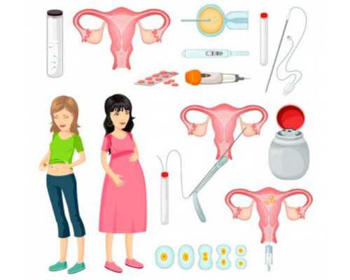 女的和女的能不能生孩子,2024
同性情侣可以通过试管助孕供卵生子吗