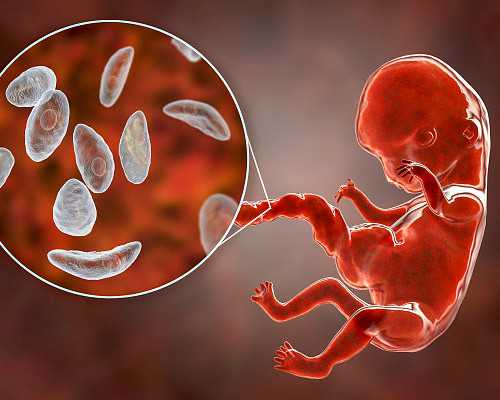 上海世纪助孕在哪里_上海世纪助孕集团官网,重庆个人有偿捐卵 2024重庆失独家