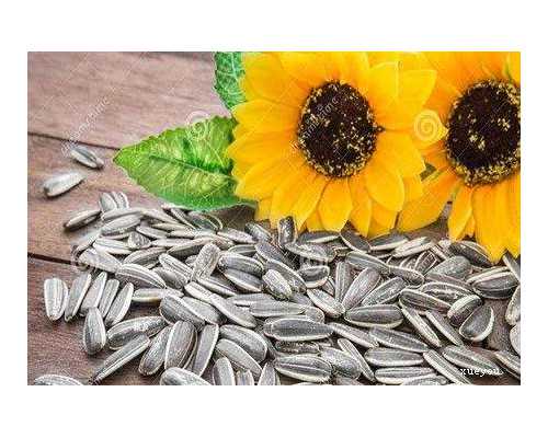 做试管一个卵进入两个精子,湖南同性哪些医院提供试管婴儿服务？?,同性不孕不