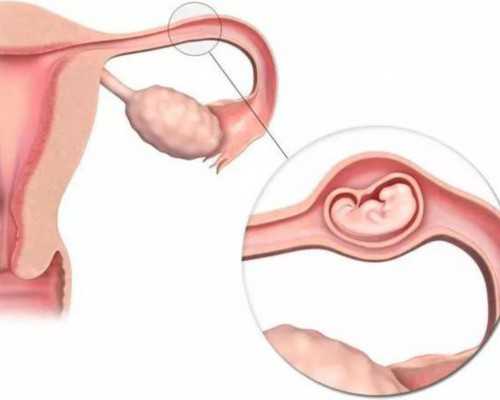 高端上海世纪助孕_广州世纪助孕公司,重庆助孕价格明细表 重庆哪个医院做试管