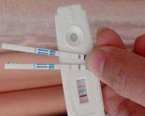 怀孕初期要保胎 这些食物不能错过