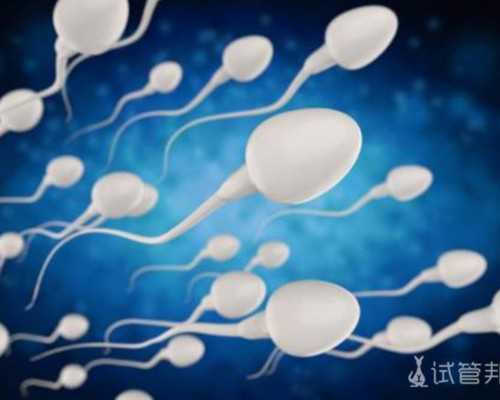 全球同性恋合法试管的地区有哪些,同性恋家庭赴柬埔寨做试管婴儿怎么样