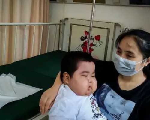 供卵试管产子价格生子,辽宁三大助孕机构沈阳助孕医院