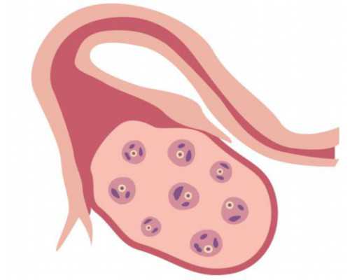 世纪助孕包成功_广州世纪助孕公司地址,重庆助孕包女孩多少钱 重庆西南医院试