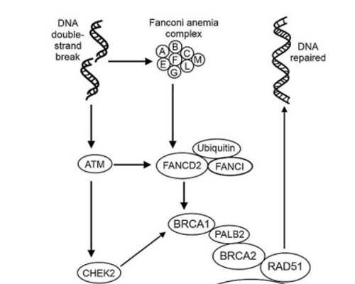 供卵代怀机构,宁夏第三代试管婴儿医院大全，满足条件有三家