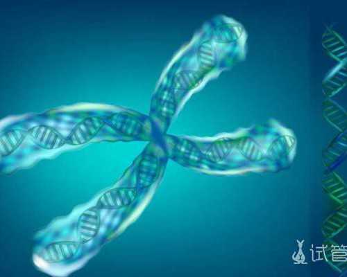 世纪助孕集团_上海世纪助孕多少钱优贝贝助孕的地址,重庆代怀 重庆精子库医院