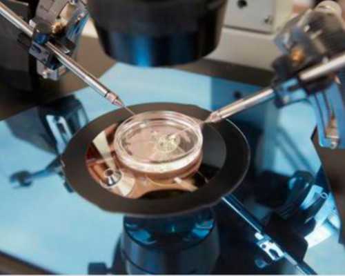 骗局!2024同性哪家好的正规民营试管机构？卵子捐赠者名单*(今日首发