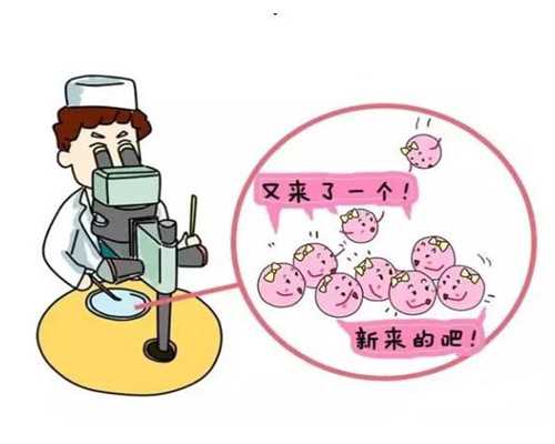 <strong>t卵p怀原理,男同性恋只通过试管婴儿可以生孩子吗？</strong>