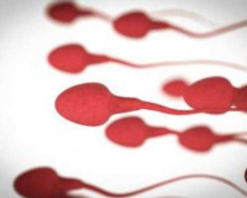 广州世纪助孕生殖中心怎么样_上海世纪助孕招聘,重庆供卵多少钱呀 重庆公立医