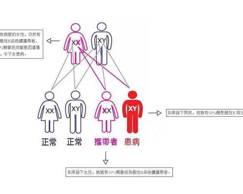 40岁如何备孕二胎