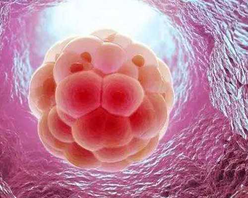 成都助孕包成功多少钱|北大深圳医院三代试管婴儿成功率高吗？