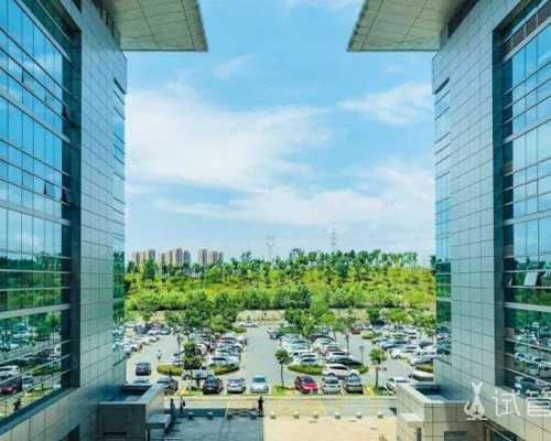 两个拉拉怎么怎么做,武汉私立供卵试管助孕机构同性恋可以做吗？