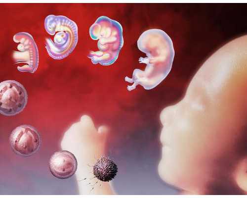 供卵助孕怎么找医院,石家庄最大助孕公司_正规助孕网