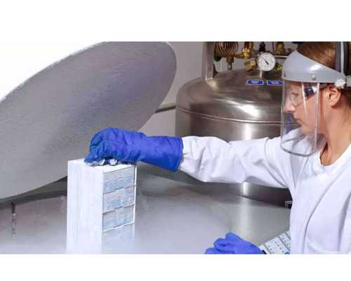 试管取卵7个只取了5个,湖北最大的助孕公司优贝贝怎么找