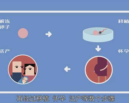 拉拉自己要孩子,银川同性恋想要孩子怎做-试管助孕机构