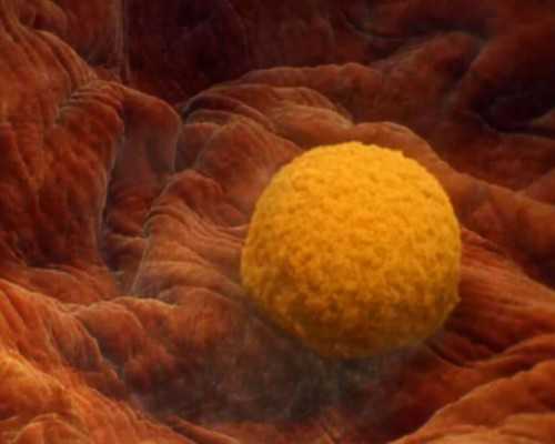 咨询供卵试管费用,广州助孕机构收费试管助孕机构