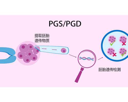 三代试管两个女生可以生出男孩吗,想咨询一下同性试管成功率高的私立医院有