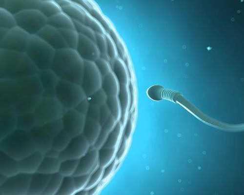 两个男孩子能生孩子吗,孕期反应不同，性别不同吗？