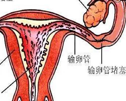 两个女人可以试管要孩子么,同性圣德利生殖医学中心的地址是什么？,同性市各