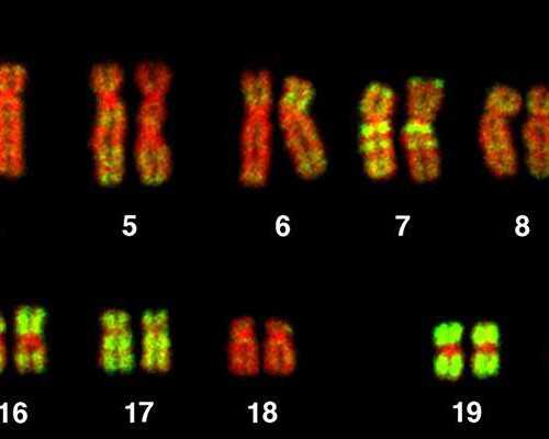 上海世纪助孕怎么样_世纪助孕骗局,重庆助孕产子中介服务 重庆妇幼保健院试管