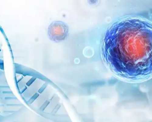 男生和男生试管能生小孩吗,同性医科大学附属第三医院生殖助孕网上预约挂号