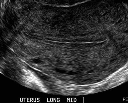 广州世纪助孕价格表_上海世纪助孕中心的位置,重庆试管代生纯翻译 上海九院试