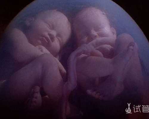 上海世纪试管助孕中心_广州世纪助孕,重庆代生靠谱的中介 重庆做供卵试管最强