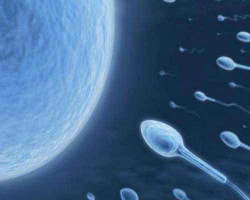 les生孩子有哪些方法,男同性恋去美国做供卵试管婴儿要多少费用