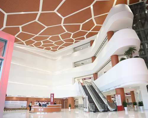 两个女生可以试管,同性试管婴儿可以用社保吗？,同性供卵试管婴儿单周费用明