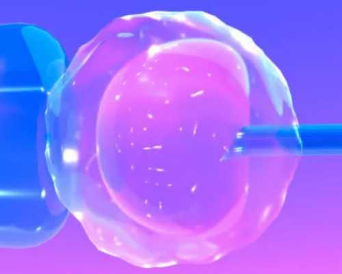 世纪助孕官网_世纪助孕集团,重庆供卵生子多少钱 2024重庆市妇幼保健院做试管