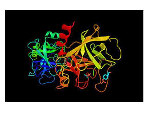 les形婚结果试管婴儿只要男孩,2024同性市第一医院试管成功率,同性大学人民医院