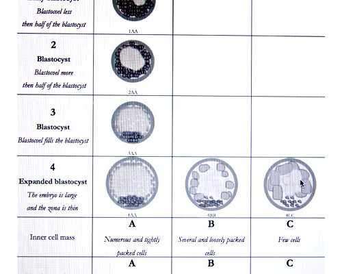 上海世纪助孕多少钱优贝贝助孕专家好_广州世纪助孕中心,重庆代怀是自己的孩