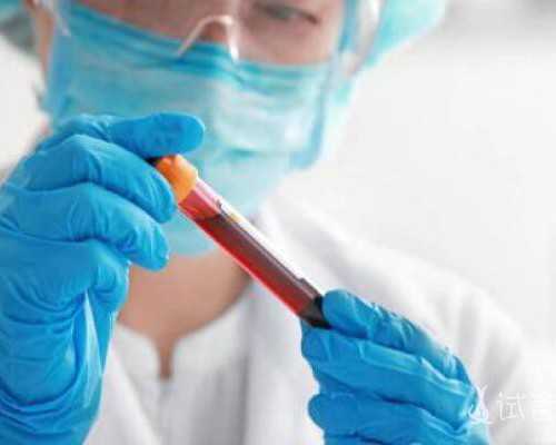 2024同性借卵试管医院排名公开附河南前三供卵机构详细介绍