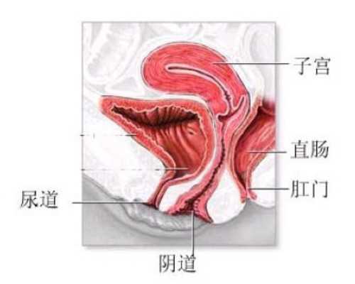 同性试管婴儿要准备,2024同性试管生男孩医院名单,同性民间供卵试管机构排名哪