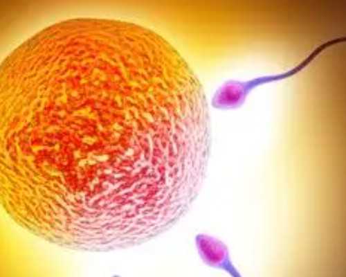 2024年长沙供卵助孕包男孩要多少钱?十万够吗?