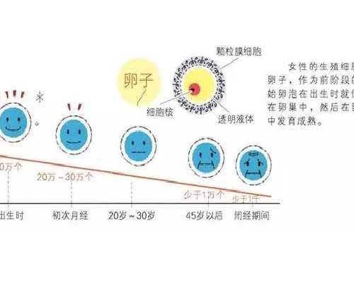 广州世纪助孕公司地址_广州世纪助孕公司官网jci,重庆靠谱的供卵有吗 重庆市妇