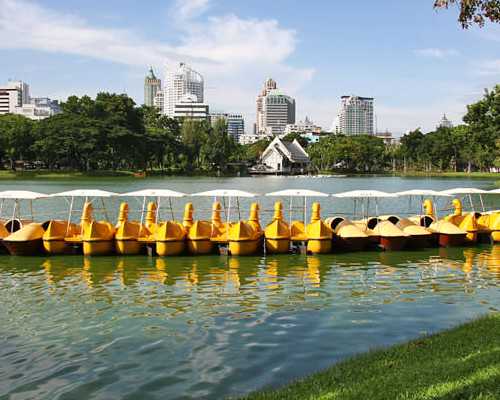 供卵助孕网址是多少,石家庄专业助孕价格_正规助孕公司