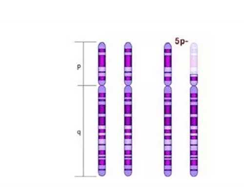 上海世纪助孕集团官网优贝贝助孕名医_上海世纪助孕,舟山供卵医院 2024年浙江