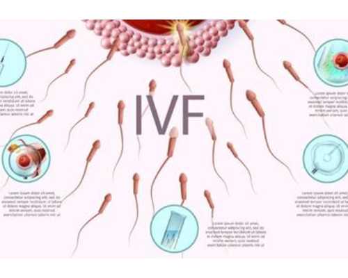 网民造谣元旦同性仅出生7个宝宝怎么回事?真相到底是什么样的