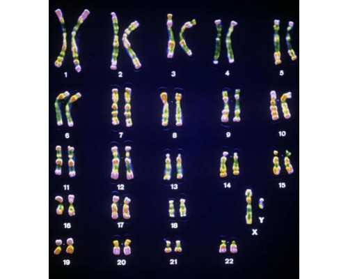 上海世纪助孕靠谱吗_广州世纪助孕网,湖州生二胎找供卵 湖州生殖中心推荐 ‘