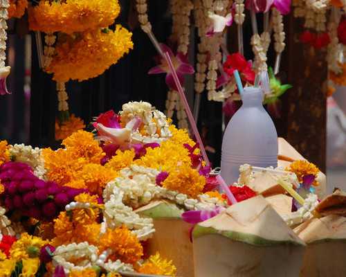 供卵助孕流程图高清,石家庄十大助孕机构-正规助孕网