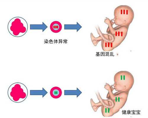 2个女的能试管婴儿吗,同性最好的三家试管机构,同性能做试管的医院有哪些，